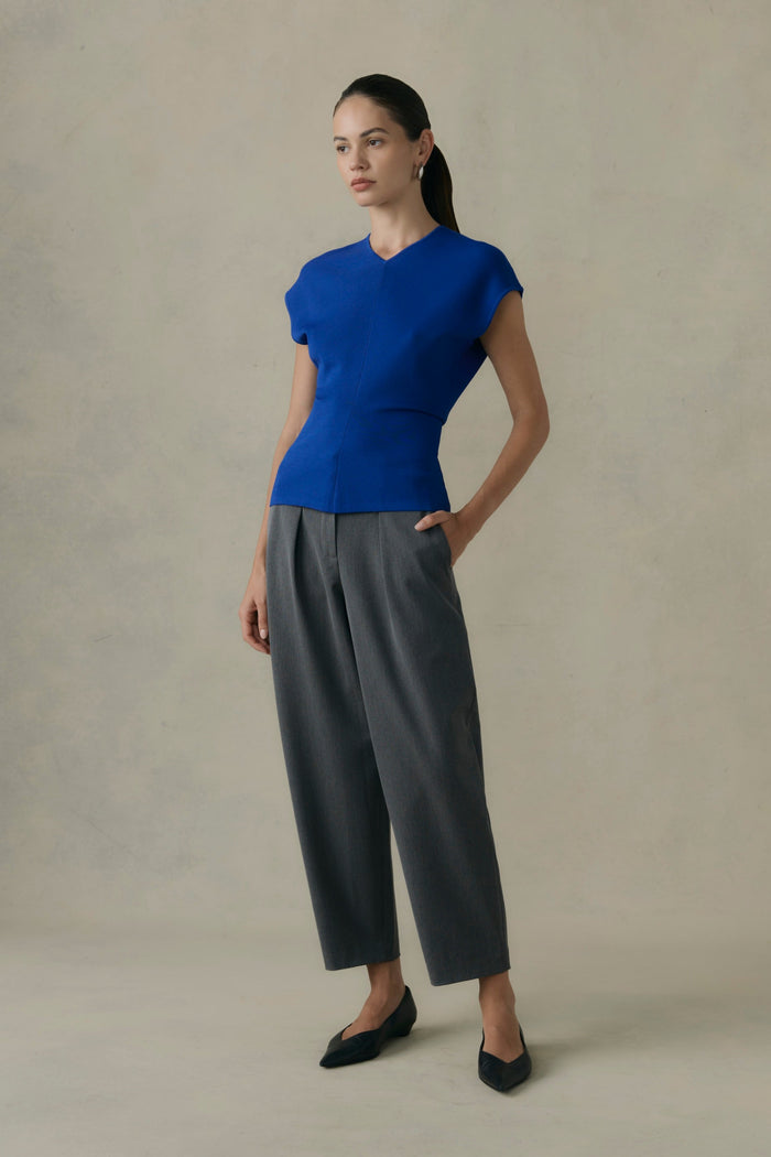Beate | Francine Pleated Suiting Carrot-Leg Pant in Size Extra Small