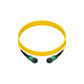 LC-MPO LGX Cassette with12 Singlemode Fibers and LC Adapters