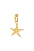 Oceana Star Charms - 4 Pack