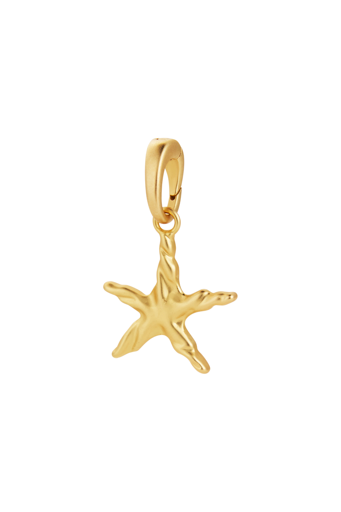 Oceana Star Charms - 4 Pack