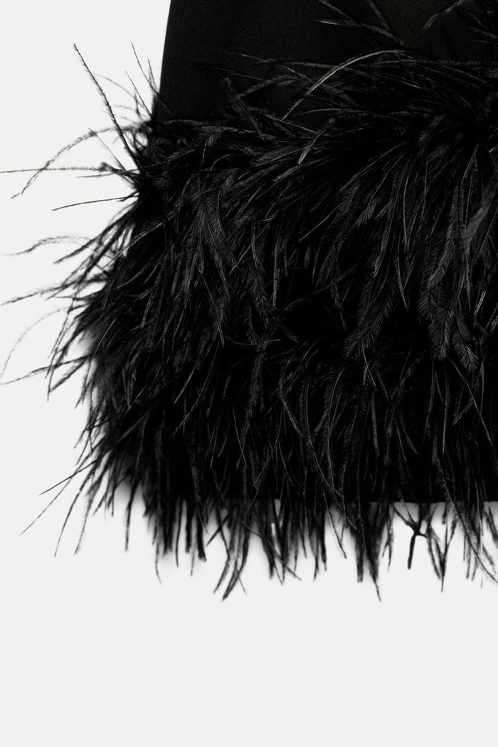 Women's Mini Dress — Fitted Cut Mini Length Feathered Border